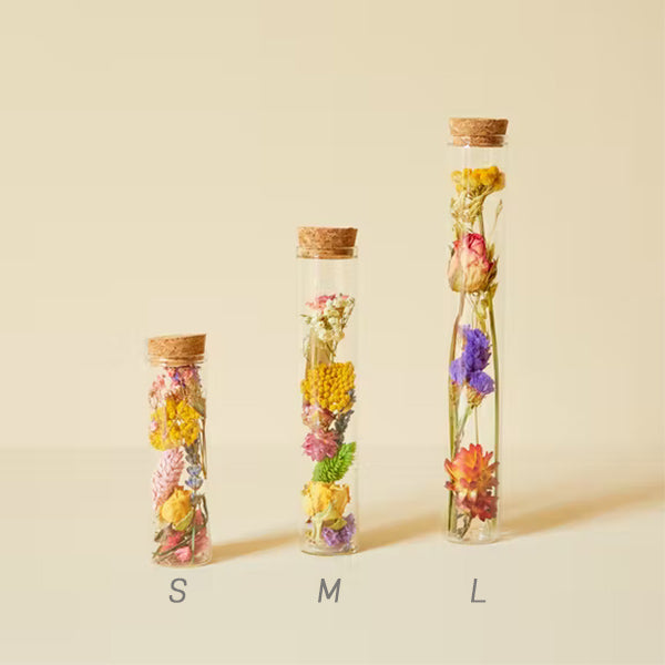 Trockenblumen, bunt, in Geschenkbox S