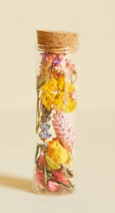 Getrocknete Blüten in Glasvase S, bunt